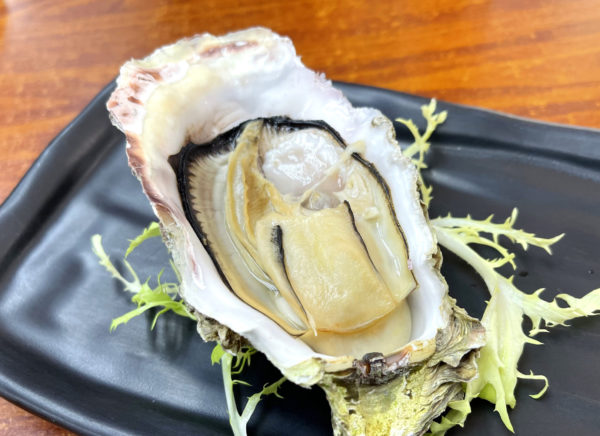 鹽燒活生蠔